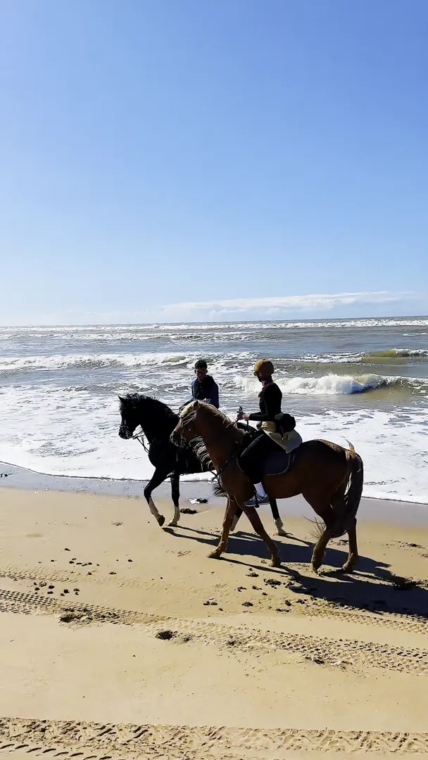Atmospheric footage from a Casa Colectiva morning movement session